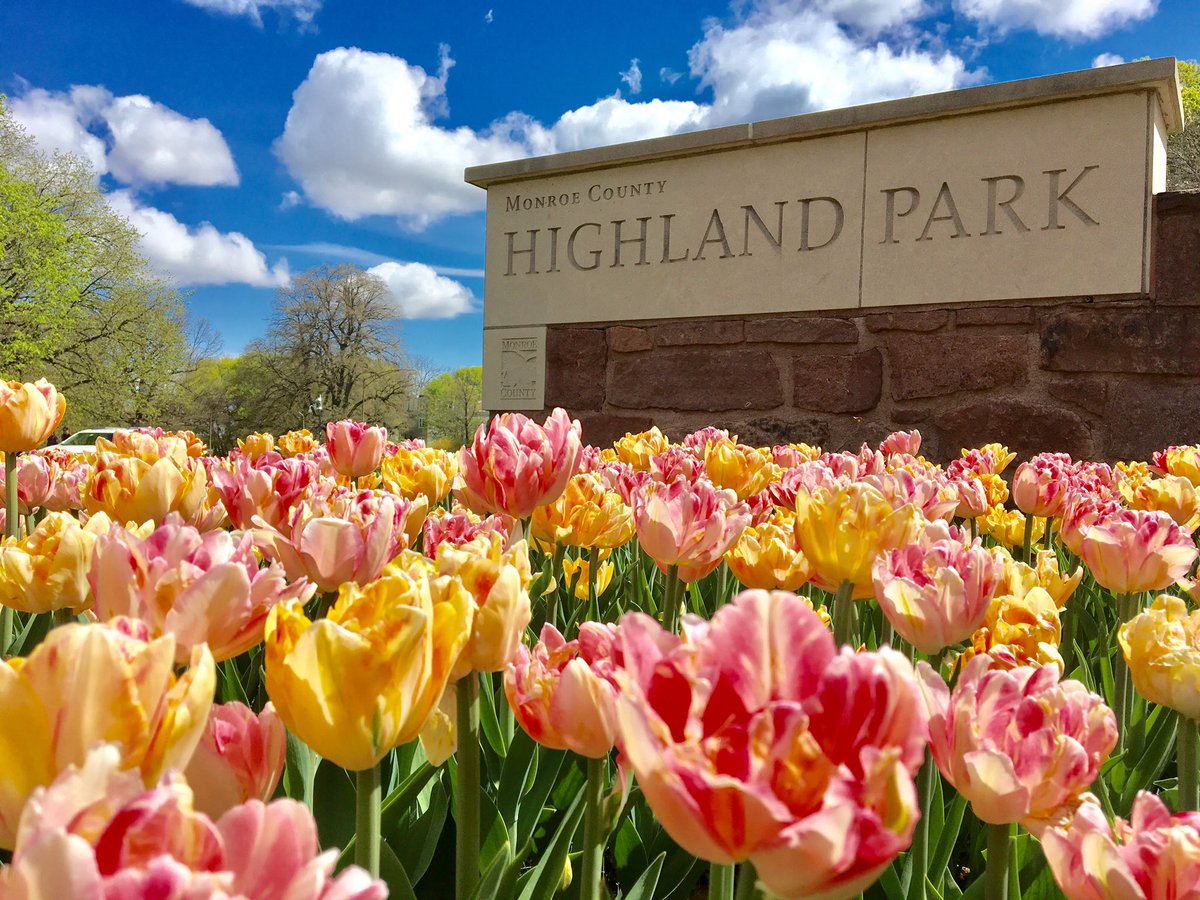 Check Out Photos From the 2019 Lilac Festival